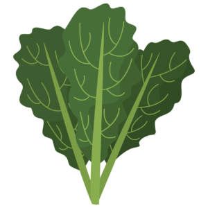 kale-7545986_1280